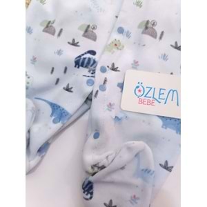 Dinasor Ailesi Ayaklı Mavi Kadife Tulum