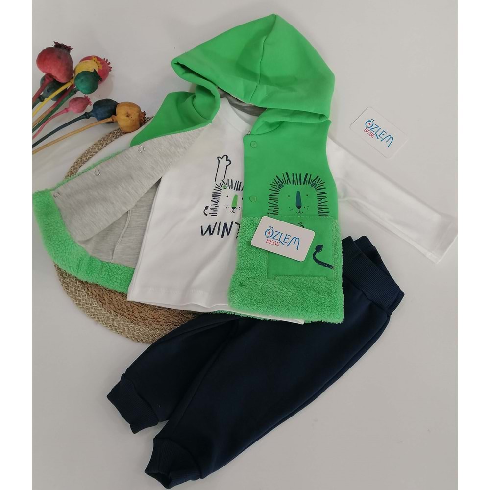 Aslan Figürlü Yeşil Yelekli Takım