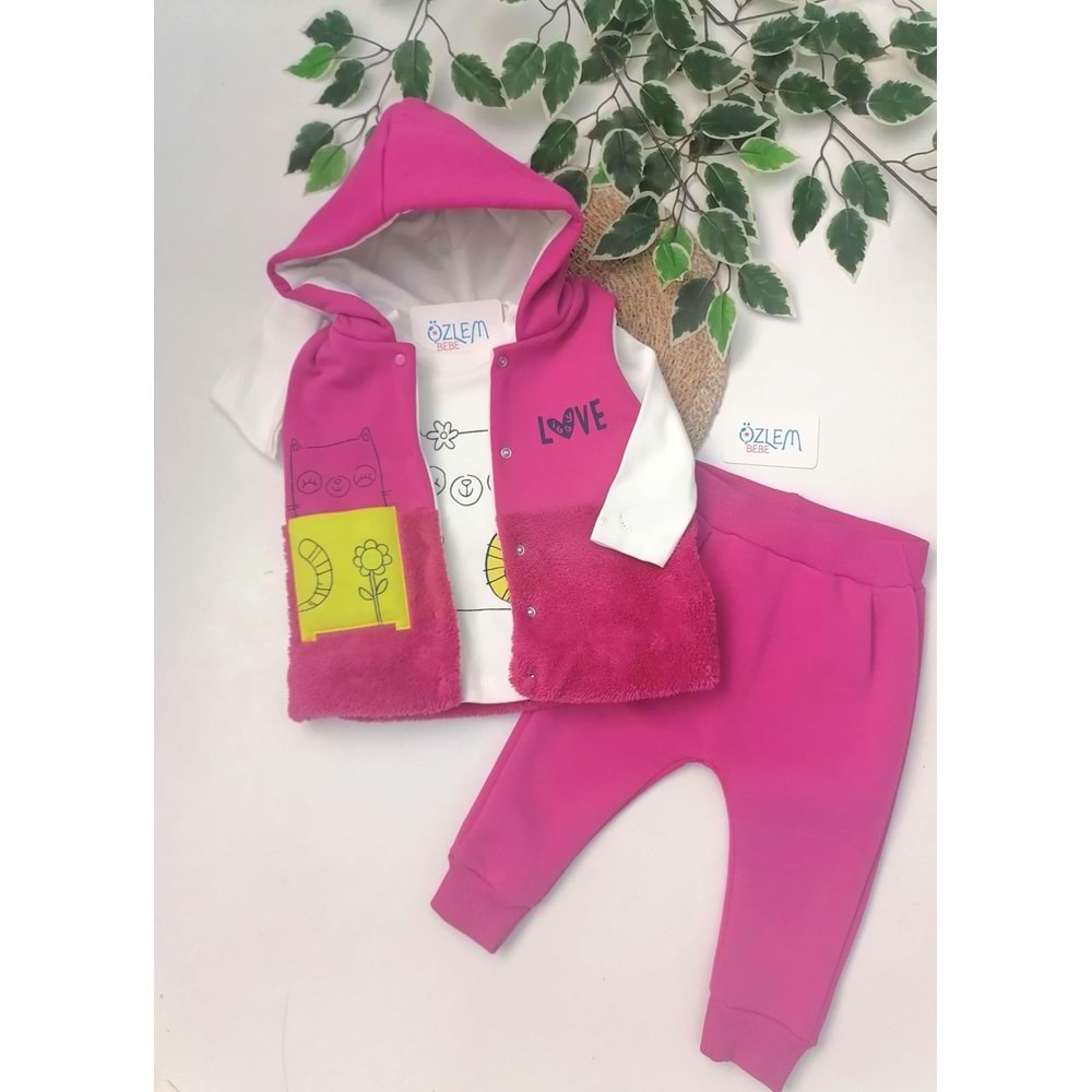 Kedi Figürlü Kapüşon Yelekli Pembe Takım
