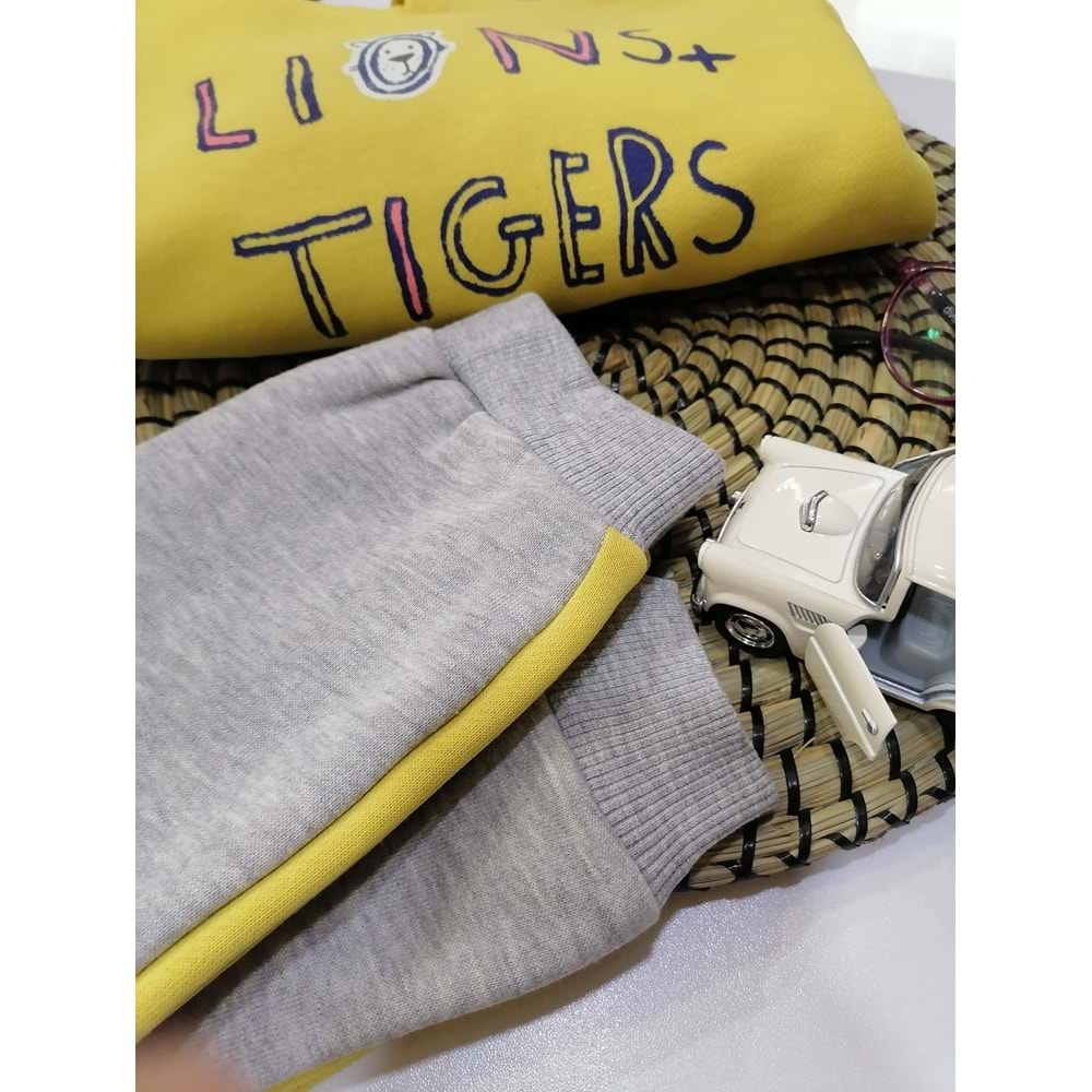 Lions & Tigers Erkek Bebek Takım