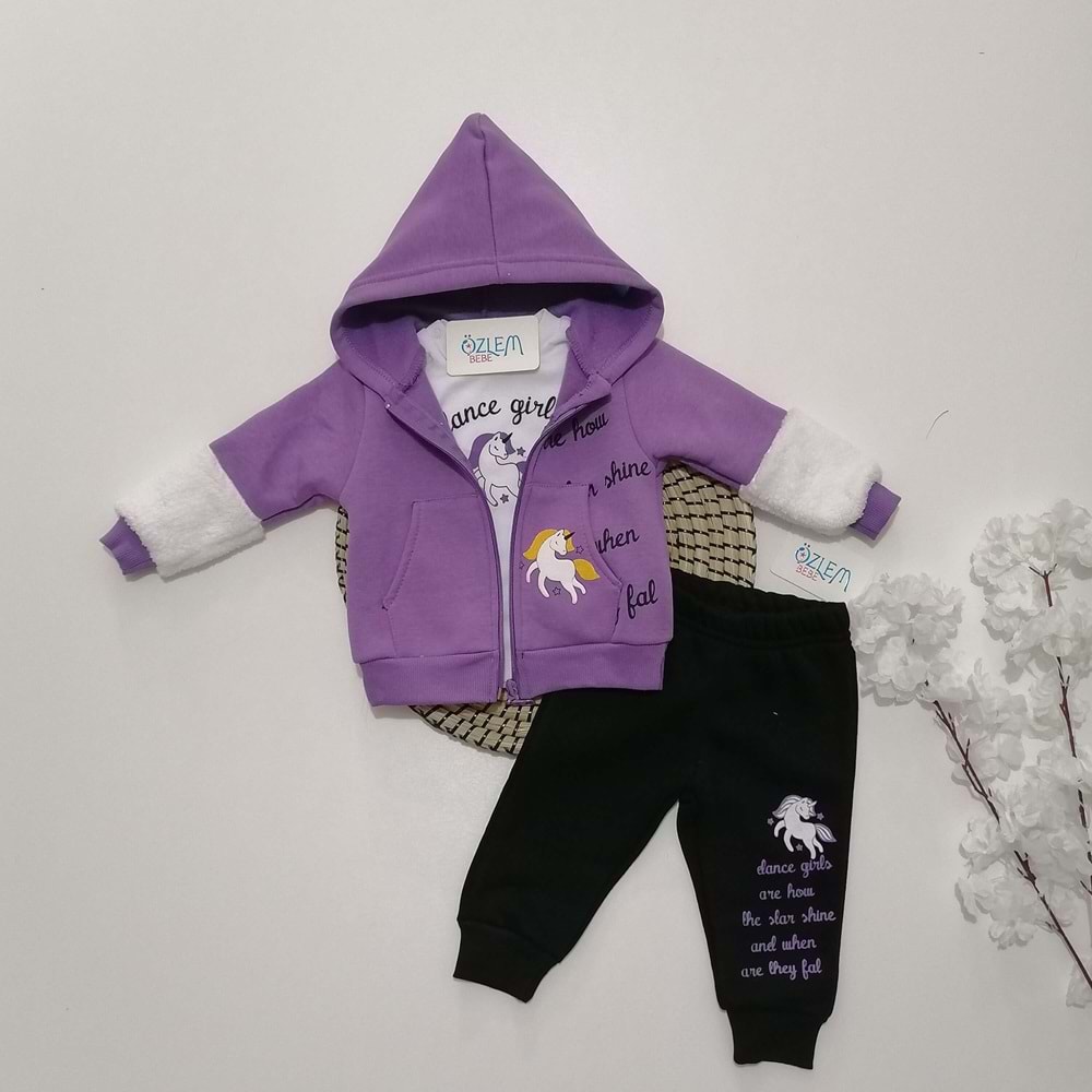 Mor Hırkalı Kapüşonlu Takım