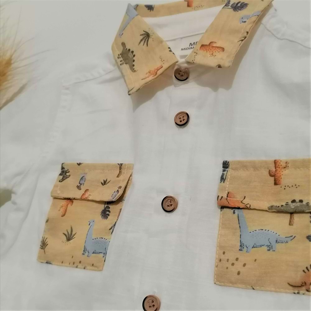 Dinozor Desenli Şortlu Keten Takım