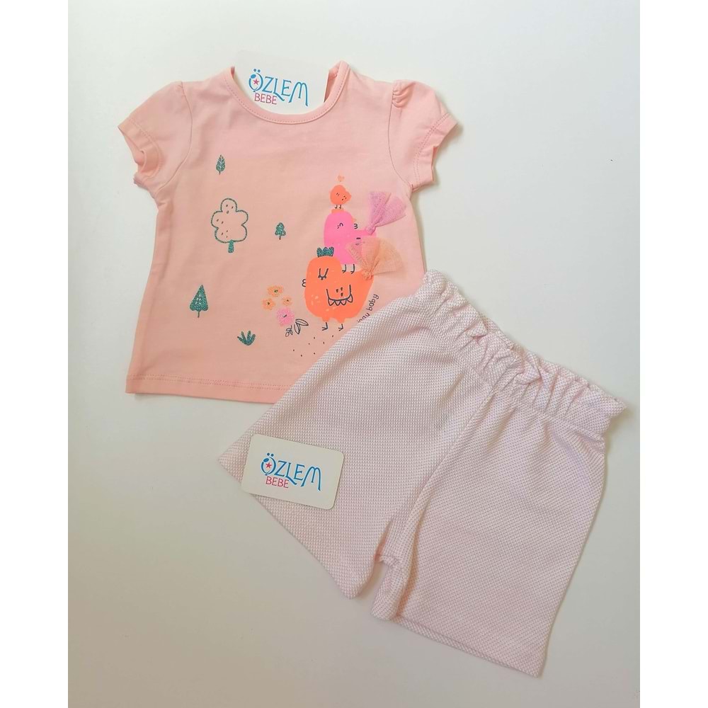 Neşeli Kuşlar Şortlu Takım