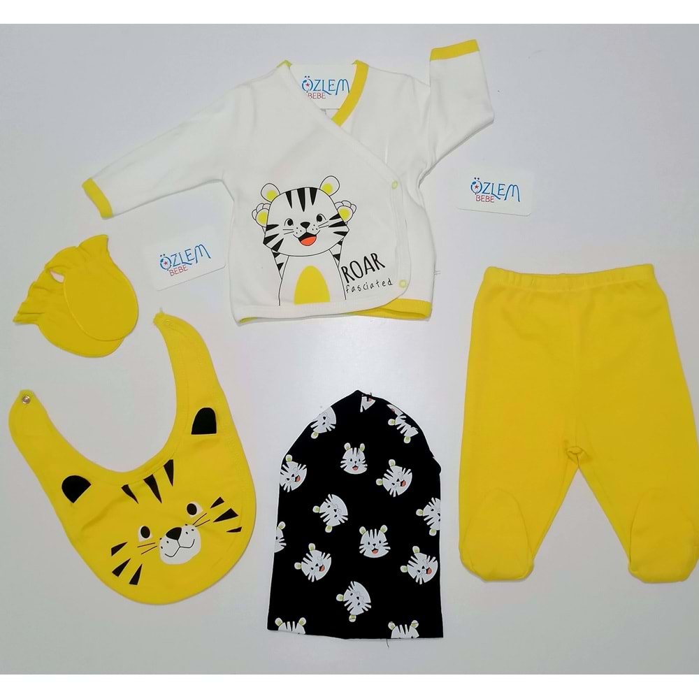 Çizgili Kaplan 5'li Hastane Çıkışı