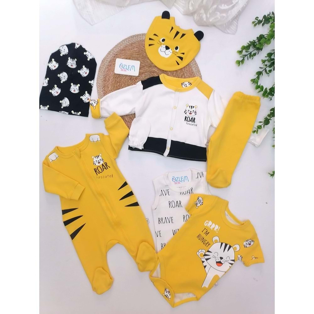 Çizgili Kaplan 8'li Hastane Çıkışı