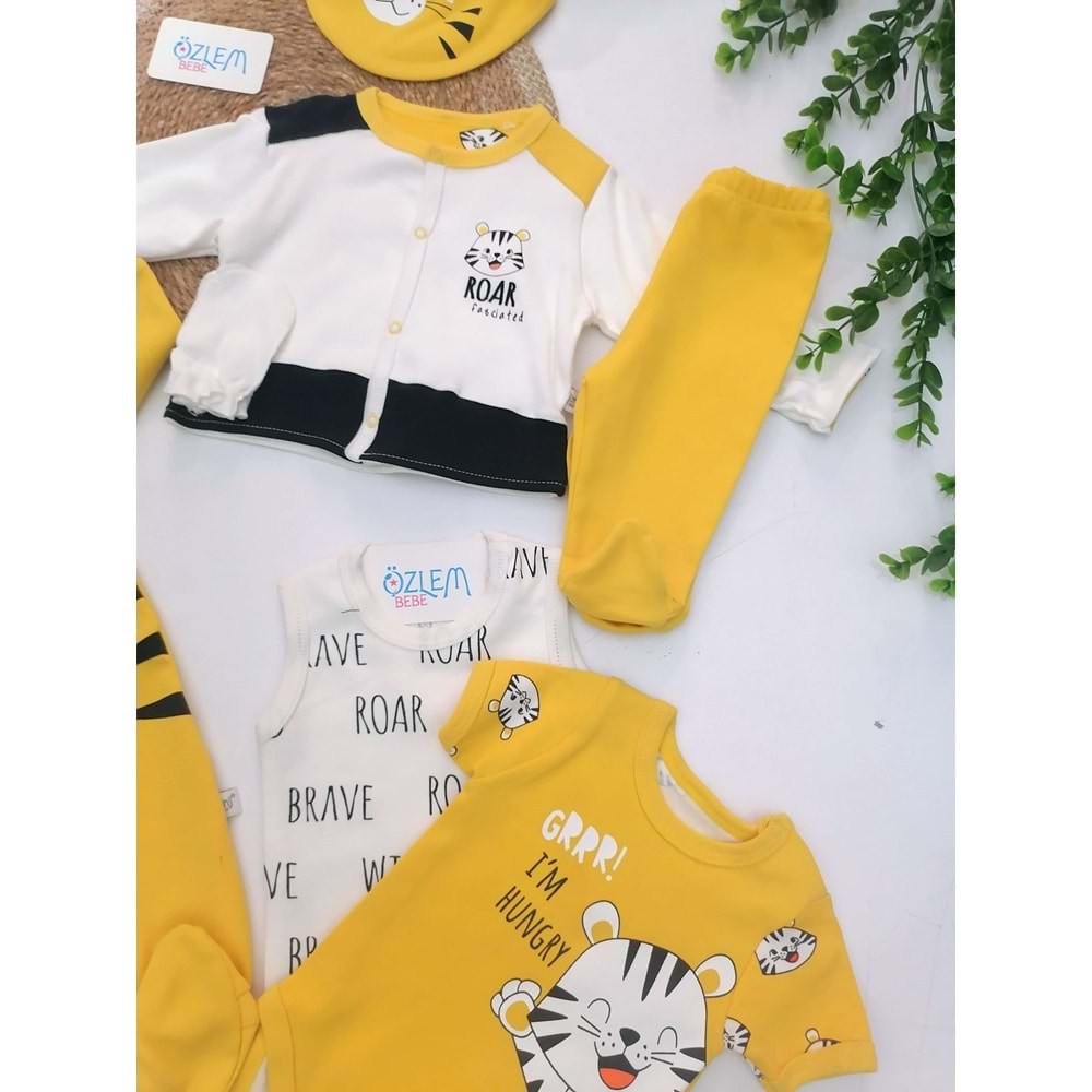 Çizgili Kaplan 8'li Hastane Çıkışı