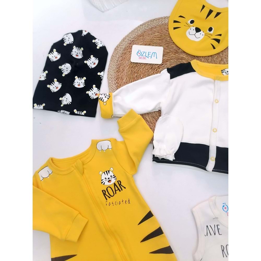 Çizgili Kaplan 8'li Hastane Çıkışı