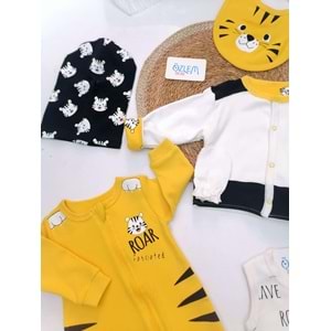 Çizgili Kaplan 8'li Hastane Çıkışı