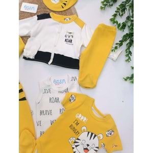 Çizgili Kaplan 8'li Hastane Çıkışı